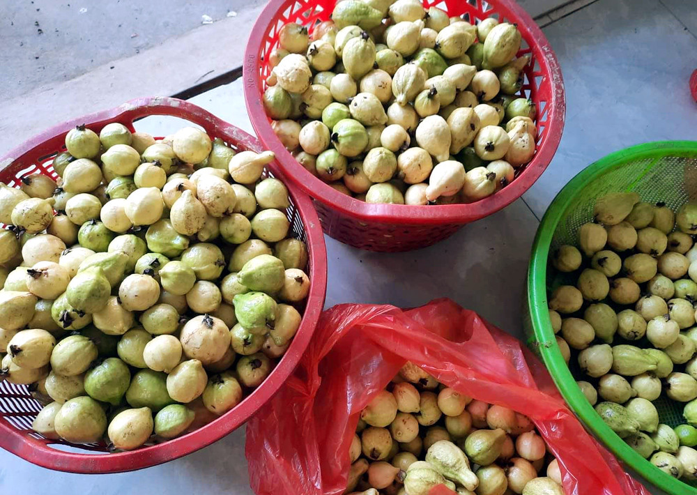 Thứ quả nhà quê xưa nay trở thành đặc sản nhờ hương thơm lừng