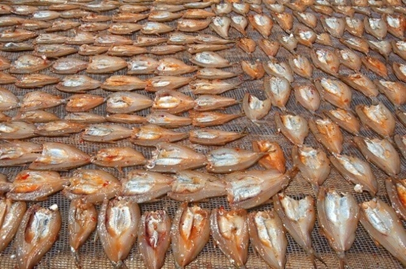 Cứ 5 kg cá mương tươi chế biến được một kg cá mương khô