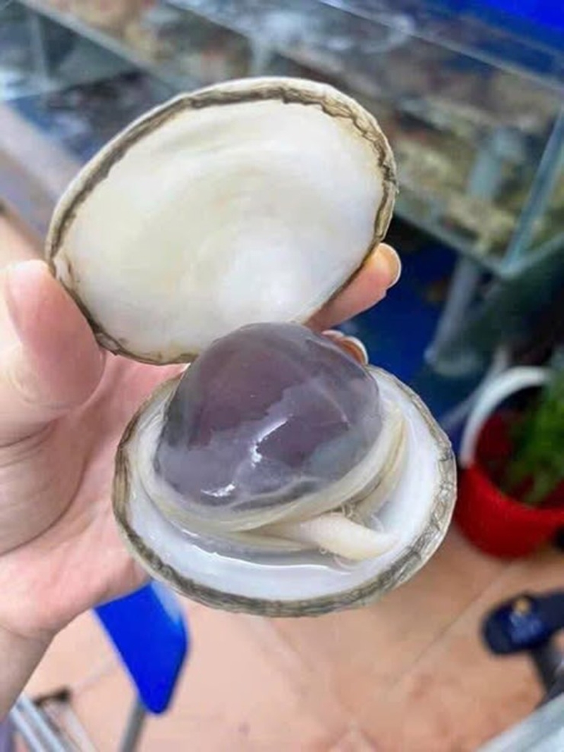 Phần ruột bên trong tươi ngon đặc biệt