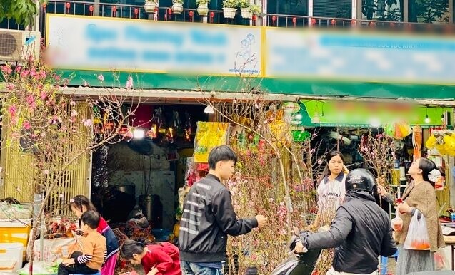 Cành đào nhỏ được nhiều người dân lựa chọn bởi giá cả hợp lý, phần còn lại phù hợp với diện tích, không gian của ngôi nhà.