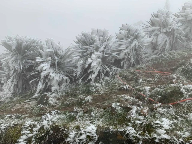 Vùng núi đề phòng băng giá trong đợt rét này. Ảnh: NCHMF