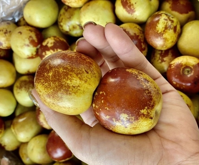 Táo tàu là loại của yêu thích của nhiều người