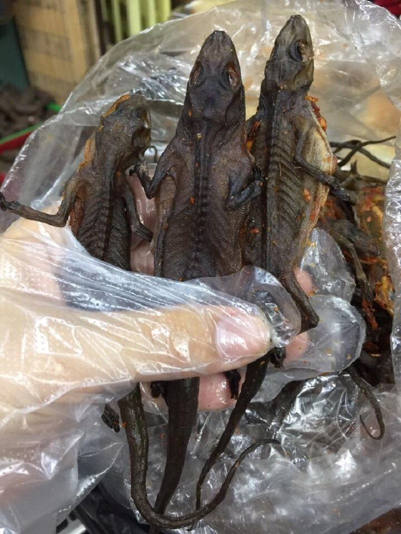 Đặc sản thằn lằn núi Bà Đen