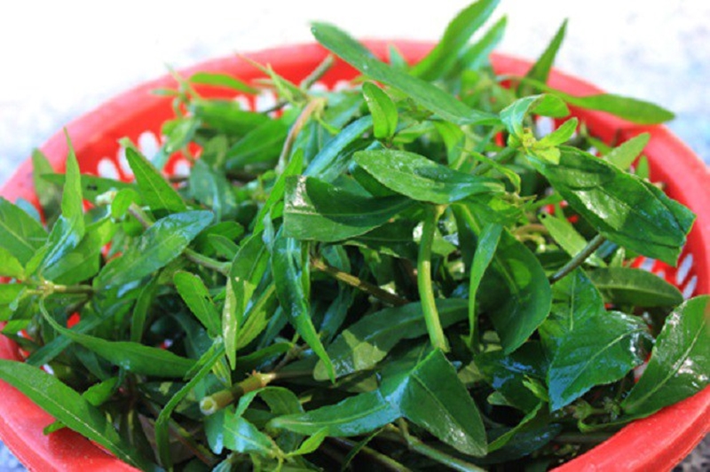 Gần đây, rau dệu được người thành phố biết tới, được bán trên chợ mạng với giá đắt đỏ