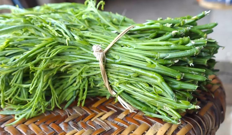 Rau thối có mùi khá nồng và đậm nhưng hái về để lâu thì mùi sẽ nhẹ dần đi