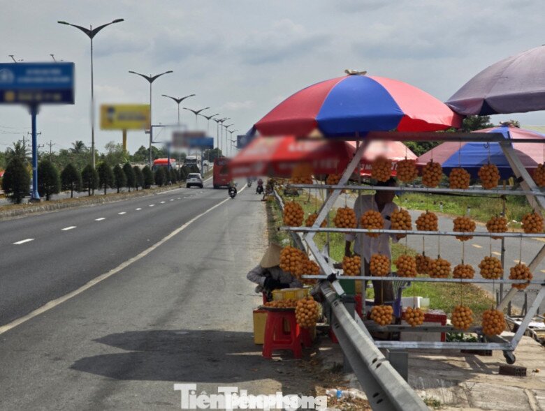 Từ cây dại, thanh trà ở Vĩnh Long thành đặc sản - 10