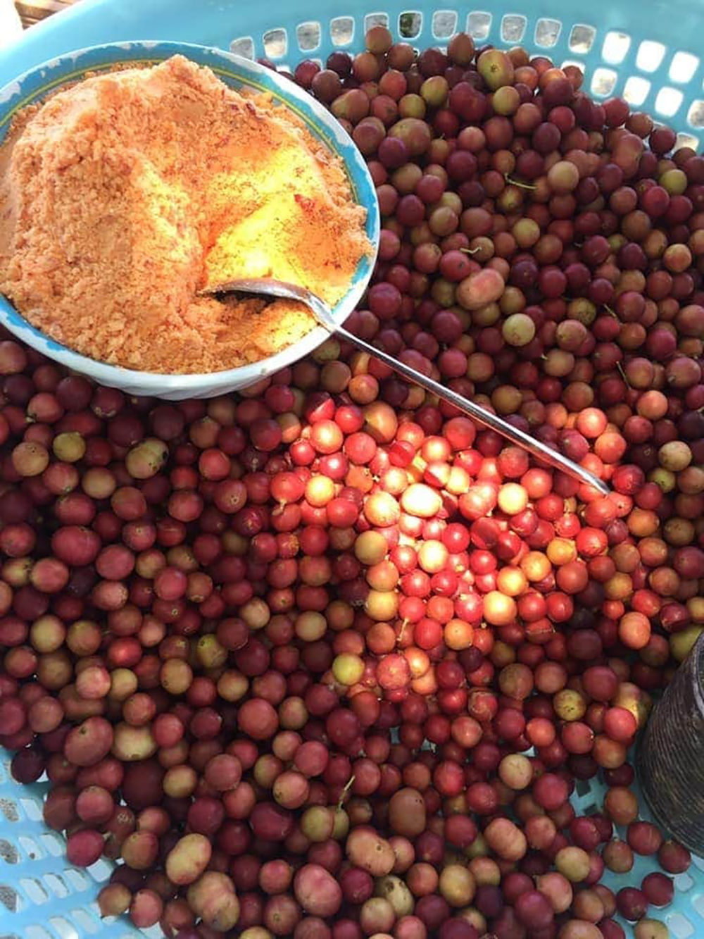 Quả da đá chấm muối ớt có vị chua ngọt, mọng nước