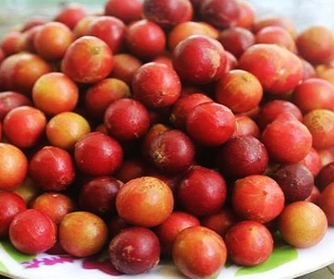 Quả da đá là đặc sản ở Khánh Hòa