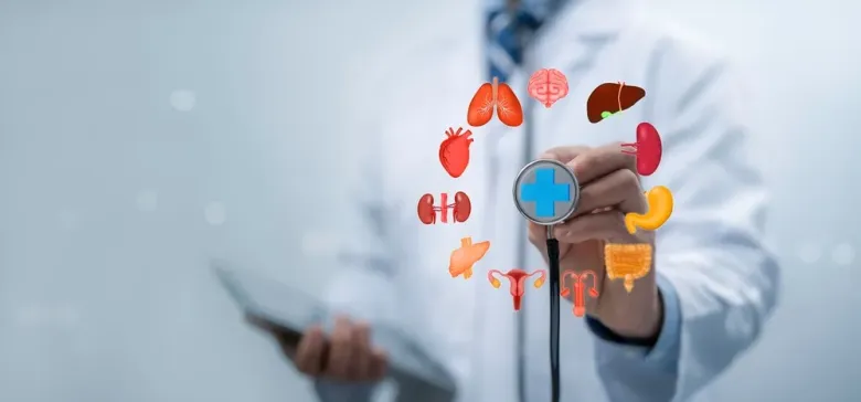 Quá trình trao đổi chất đóng vai trò quan trọng trong việc chuyển hóa thức ăn thành năng lượng.