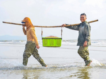 Ngư dân Thanh Hóa vươn khơi thu "lộc biển" ngày đầu năm