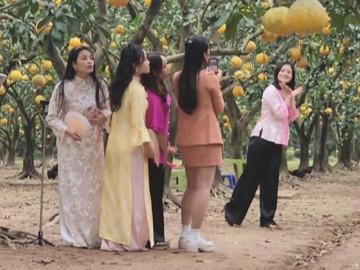 Check-in, săn lùng đặc sản tại thủ phủ bưởi Diễn