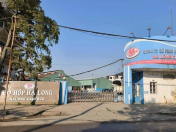 Bắt khẩn cấp Tổng giám đốc Công ty Cổ phần Đồ hộp Hạ Long