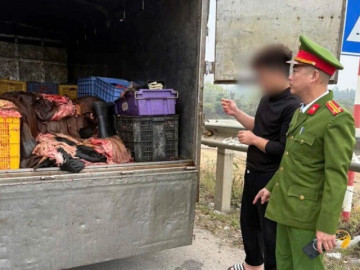Phú Thọ: Ngăn chặn 1,2 tấn mỡ, da trâu bò không rõ nguồn gốc khi đang lưu thông