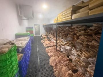 Biến 50 tấn thịt heo thành đặc sản bắp dê Australia, nhím, nai