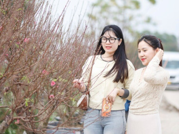Không khí Tết lan tỏa khắp "làng đào Nhật Tân trên đất Kinh Bắc"