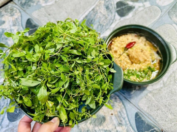 Rau "trời ban" có từ Nam ra Bắc, vị đắng lạ, ăn cùng cháo cá lóc rất ngon
