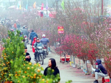 Thực hư thông tin miền Bắc đón mưa lớn rét đậm vào Tết Nguyên đán 2026