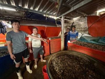 Tin tức - TP HCM: Triệt phá đường dây ngâm hơn 3.000 tấn ốc bươu trong "thủy tinh lỏng"
