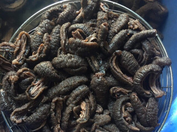 Sản vật "trời ban" ở Quảng Ninh nhìn kỳ dị, khách từ sợ đến nức nở khen ngon