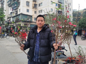 Đào rừng "xuống phố" Thủ đô ngày cận Tết, giá bán có đắt đỏ khi khởi điểm từ 120.000 đồng/cành?