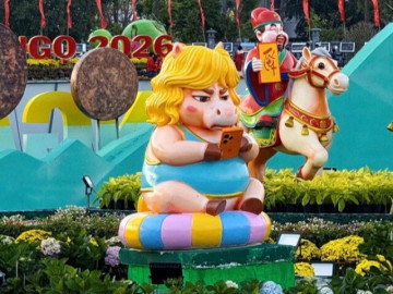 Linh vật ngựa cầm iPhone “gây bão” ở Quy Nhơn: Tác giả lý giải điều bất ngờ