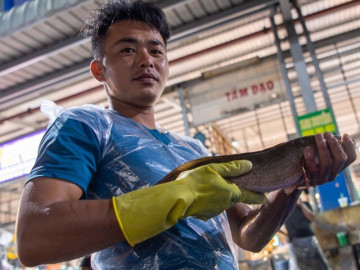 Cá lóc ngập chợ Bình Điền lúc nửa đêm, tiểu thương tất bật trước ngày vía Thần Tài