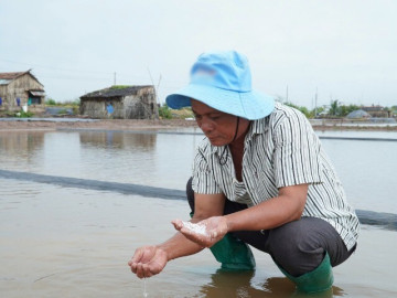 Mưa trái mùa xóa tan hơn 9.000 tấn muối ở Cà Mau, diêm dân xót xa