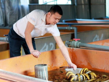 Chàng trai Hà Tĩnh thu hơn 6 tỷ mỗi năm nhờ nuôi lươn kiểu mới