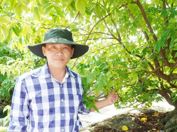 "Bí mật" sau vườn kiểng bonsai bạc tỷ của người đàn ông ở Cần Thơ