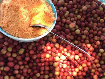 Loại quả dại nổi tiếng ở Khánh Hòa, xưa không ai bán nay thành đặc sản lạ được dân thành phố "ưa chuộng"