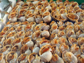 Đặc sản có tên vô cùng lạ, xưa rẻ như cho nay dân thành phố ưa chuộng vì hương vị đặc biệt, giá đắt đỏ