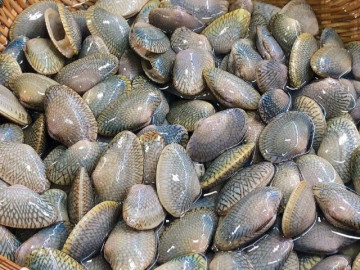 Đặc sản mang tên lạ, mỗi năm chỉ có một mùa, nay dân thành phố ưa chuộng vì hương vị đặc biệt