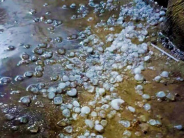 Mưa đá xuất hiện trong đêm tại Hà Nội