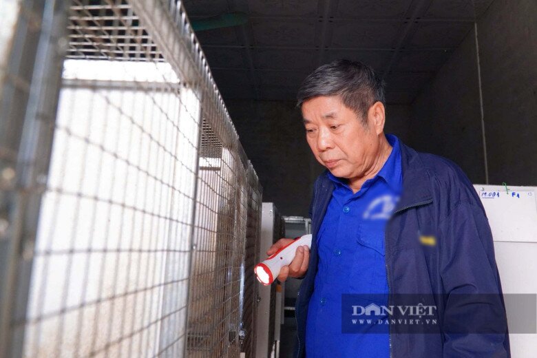 Từ niềm đam mê với cầy hương, ông Nguyễn Đình Thái, Tổ dân phố Ba Quanh, phường Phúc Thuận, tỉnh Thái Nguyên đã học hỏi kinh nghiệm trên mạng và bắt tay vào nuôi. Ảnh: Ngô Huy