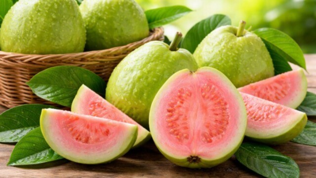 Mùa đông ăn ổi mỗi ngày: 5 tác dụng khiến bạn bất ngờ