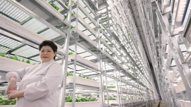 Bên cạnh Việt Nam có “chung cư trồng rau” cao nhất thế giới: Cao 23m, AI – robot vận hành, mỗi năm thu 2.000 tấn rau