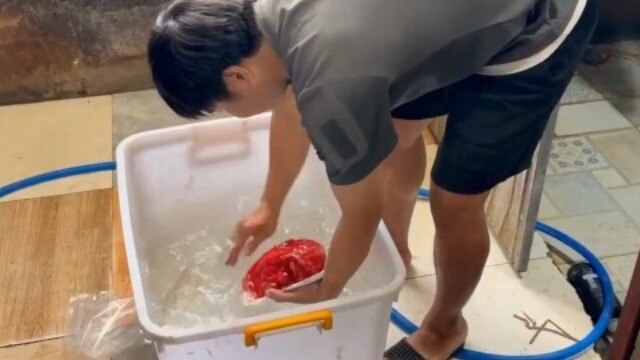 Quy trình "hô biến" thịt heo thành thịt nhím, nai, đà điểu, bắp dê Úc