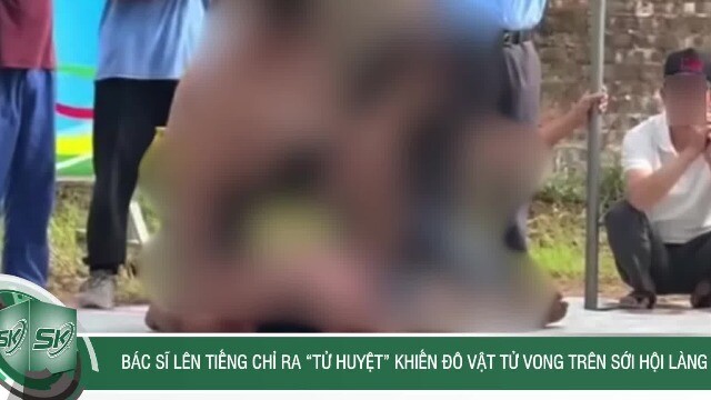 Bác sĩ chỉ ra 'tử huyệt' khiến đô vật tử vong trên sới hội làng