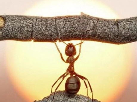 4 câu 'thần chú' giúp bạn vượt qua khó khăn trong cuộc sống: Khi bế tắc chỉ cần nhớ những điều này