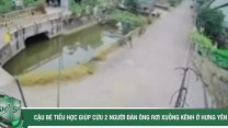 Hành động nhanh trí của cậu bé tiểu học cứu 2 người đàn ông rơi xuống kênh ở Hưng Yên