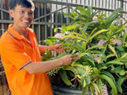 Clip Eva - Rộn ràng người ra người vào vừa ngắm vừa "săn" siêu phẩm lan rừng thơm quyến rũ, hoa tuôn như suối ở Đắk Lắk