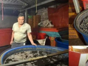 Clip Eva - Kinh hãi: Hơn 3.000 tấn thịt ốc bươu ngâm hóa chất xây dựng 'thủy tinh lỏng'