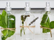 Clip Eva - Tinh dầu thiên nhiên dưỡng da: 4 loại mát lành giúp da rạng rỡ, khỏe đẹp từ bên trong