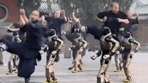 Robot hình người trình diễn võ Thiếu Lâm