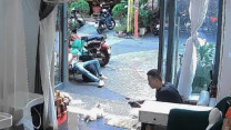 Clip: Người đàn ông đá chó cảnh ở tiệm spa gây bức xúc