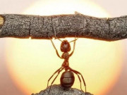 Clip Eva - 4 câu 'thần chú' giúp bạn vượt qua khó khăn trong cuộc sống: Khi bế tắc chỉ cần nhớ những điều này