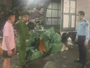 Clip Eva - Phát hiện, thu giữ hơn 1,3 tấn nầm lợn bốc mùi hôi thối