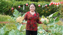 Biến 500 m2 đất thành vườn rau bốn mùa giữa lòng TP HCM