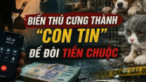 ĐIỀU TRA: Hé lộ đường dây "bắt cóc" chó mèo, biến thú cưng thành con tin để đòi tiền chuộc