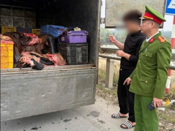 Phú Thọ ngăn chặn 1,2 tấn mỡ, da trâu bò không rõ nguồn gốc